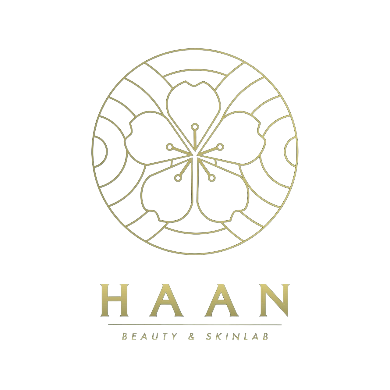 Logo HAAN BEAUTY